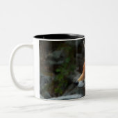 Fox Tweekleurige Koffiemok (Links)
