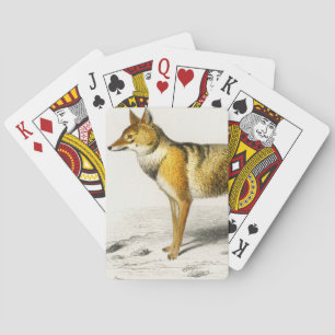 Fox vintage geïllustreerd pokerkaarten