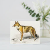 Fox vintage illustrated briefkaart (Staand voorkant)