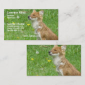 Fox Visitekaartje (Voorkant / Achterkant)