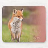 Fox Vixen Mouse Mat Muismat (Voorkant)