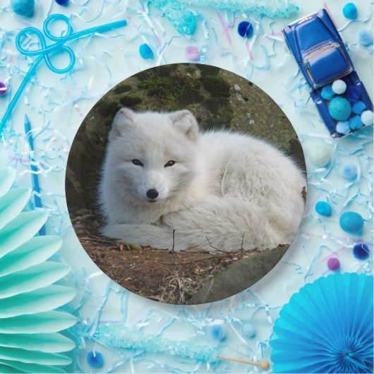 Fox White Papieren Bordje (Feest)