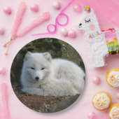 Fox White Papieren Bordje (Feest)