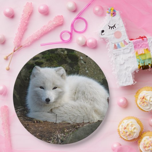 Fox White Papieren Bordje (Feest)