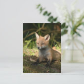 Fox wilde dieren briefkaart (Staand voorkant)