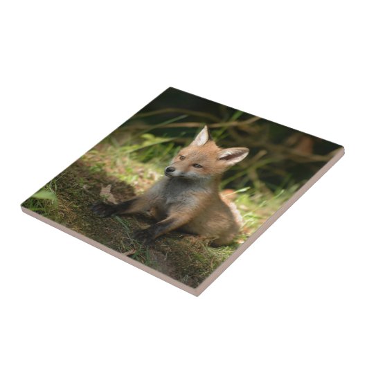 Fox wilde dieren tegeltje (Zijkant)