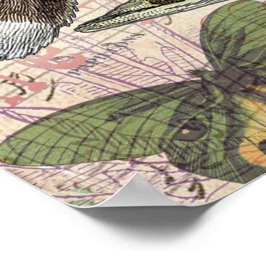 Fox Wildlife Collage  Illustratie Poster (Hoek)