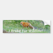 Fox Wildlife Protection Bumpersticker (Voorkant)