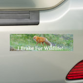 Fox Wildlife Protection Bumpersticker (Op auto)