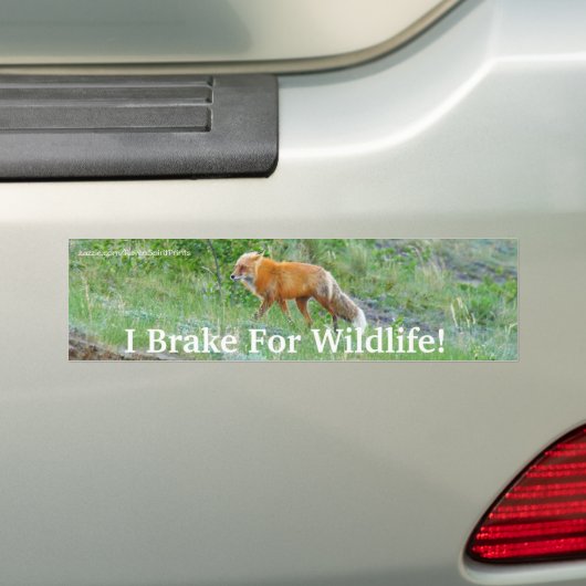 Fox Wildlife Protection Bumpersticker (Op auto)