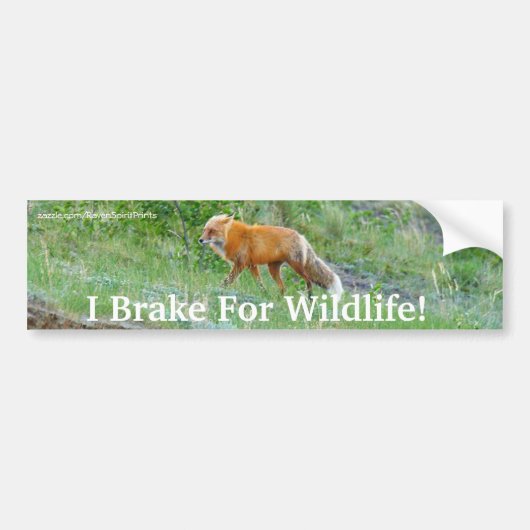 Fox Wildlife Protection Bumpersticker (Voorkant)