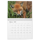 Foxes 2021, ingediend door Chris Milligan Kalender (Feb 2027)