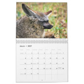 Foxes 2021, ingediend door Chris Milligan Kalender (Mar 2027)