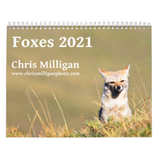 Foxes 2021, ingediend door Chris Milligan Kalender