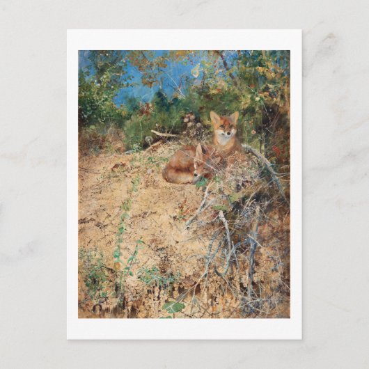 Foxes, Bruno Liljefors Briefkaart (Voorkant)