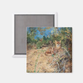 Foxes, Bruno Liljefors Magneet (Voorkant / Achterkant)