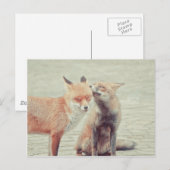 Foxes in liefde! briefkaart (Voorkant / Achterkant)