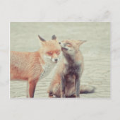 Foxes in liefde! briefkaart (Voorkant)