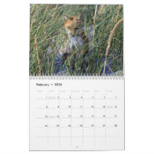 Foxes of Brigantine Beach Photo Calendar Kalender (Feb 2026)