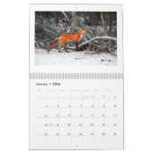 Foxes of Brigantine Beach Photo Calendar Kalender (Jan 2026)