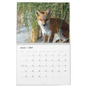 Foxes of Brigantine Beach Photo Calendar Kalender (Mar 2027)