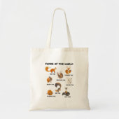 Foxes of the World Cute Fox Bries Animals Educati Tote Bag (Voorkant)