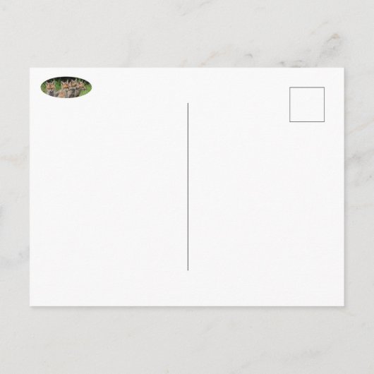 Foxes, onafhankelijk denkend, vieren briefkaart (Achterkant)