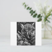 Foxes / Wolven / Coyotes ? Briefkaart (Staand voorkant)