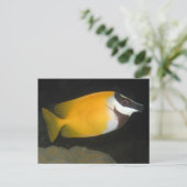 Foxface Rabbitfish Briefkaart (Staand voorkant)