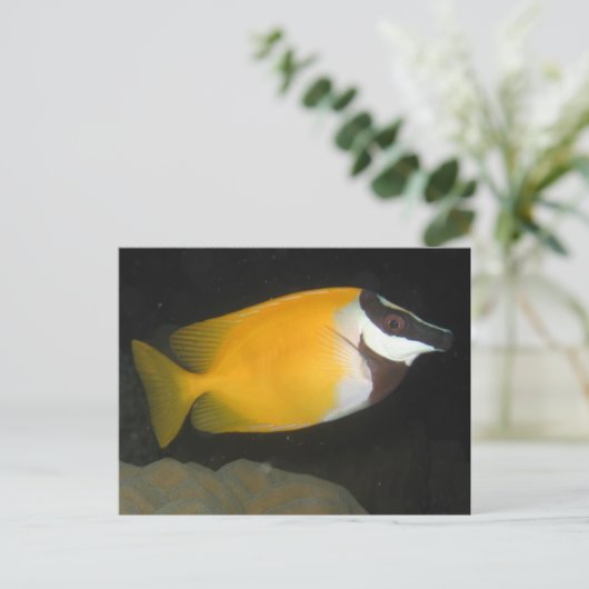 Foxface Rabbitfish Briefkaart (Staand voorkant)