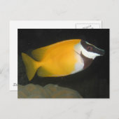 Foxface Rabbitfish Briefkaart (Voorkant / Achterkant)