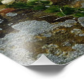 Foxglove and Stone Foto Afdruk (Hoek)