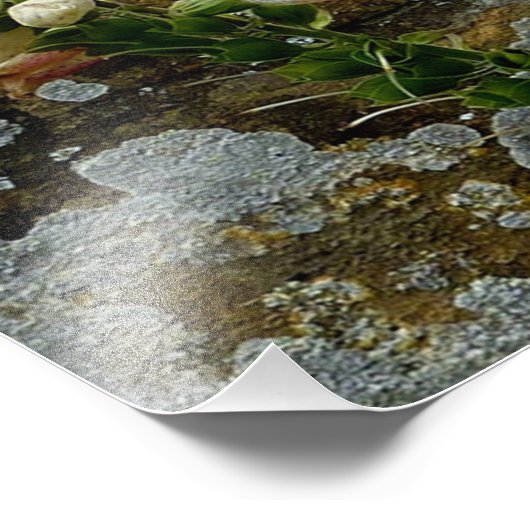 Foxglove and Stone Foto Afdruk (Hoek)