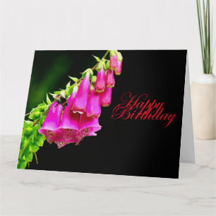 Foxglove & bee Birthday Card Kaart