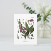 Foxglove Briefkaart (Staand voorkant)