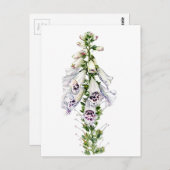 Foxglove Briefkaart (Voorkant / Achterkant)