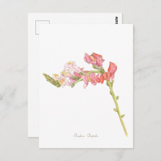 Foxglove Briefkaart (Voorkant / Achterkant)