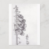 Foxglove Briefkaart (Voorkant)