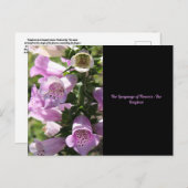 Foxglove Briefkaart (Voorkant / Achterkant)