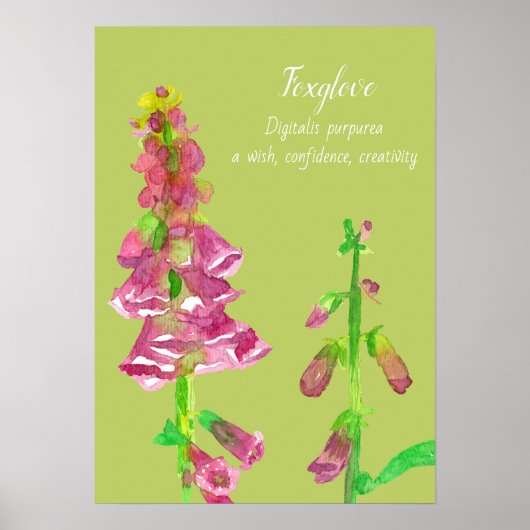 Foxglove Flower Botanical Painical Poster (Voorkant)