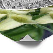 Foxglove Flower Lijst Creëer Uw Eigen Foto Poster (Hoek)