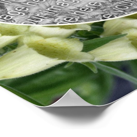 Foxglove Flower Lijst Creëer Uw Eigen Foto Poster (Hoek)