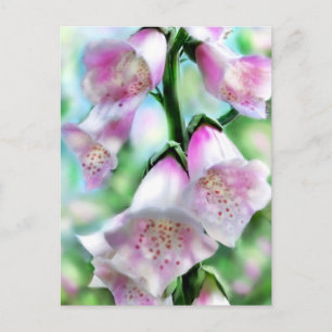 Foxglove Flowers Bloem Bloem Roze Paarse Groen Briefkaart