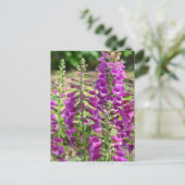 Foxglove Flowers Briefkaart (Staand voorkant)