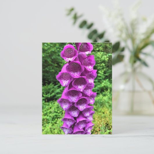 Foxglove Flowers, Oregon Briefkaart (Staand voorkant)