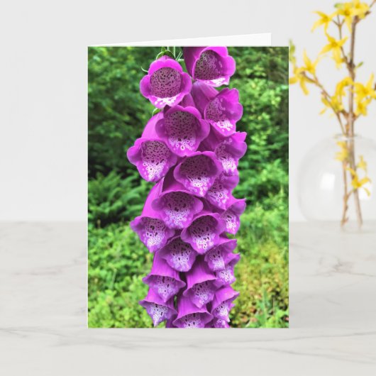 Foxglove Flowers, Oregon Kaart (Gele Bloem)