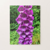 Foxglove Flowers, Oregon Legpuzzel (Verticaal)