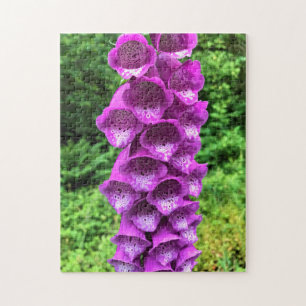 Foxglove Flowers, Oregon Legpuzzel
