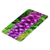 Foxglove Flowers, Oregon Magneet (Linkerzijde)