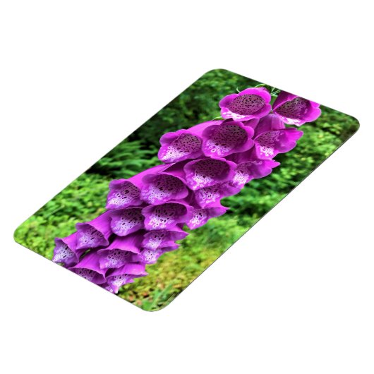 Foxglove Flowers, Oregon Magneet (Linkerzijde)